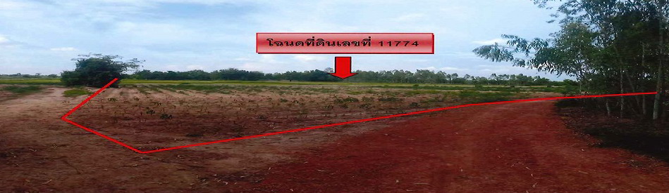 ขายทอดตลาด ที่ดินว่างเปล่า ต.โค้งไผ่ อ.ขาณุวรลักษบุรี จ.กำแพงเพชร
