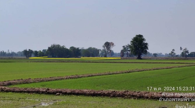 ขายทอดตลาด ที่ดินว่างเปล่า ต.หนองแขม อ.พรหมพิราม จ.พิษณุโลก