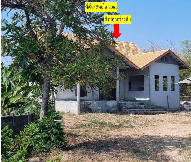 ขายทอดตลาด ที่ดินพร้อมสิ่งปลูกสร้าง ต.หนองแสง อ.วาปีปทุม จ.มหาสารคาม