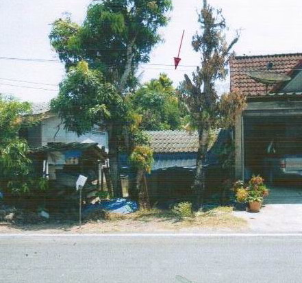 ขายทอดตลาด ที่ดินพร้อมสิ่งปลูกสร้าง ต.คลองเขม้า อ.เหนือคลอง จ.กระบี่