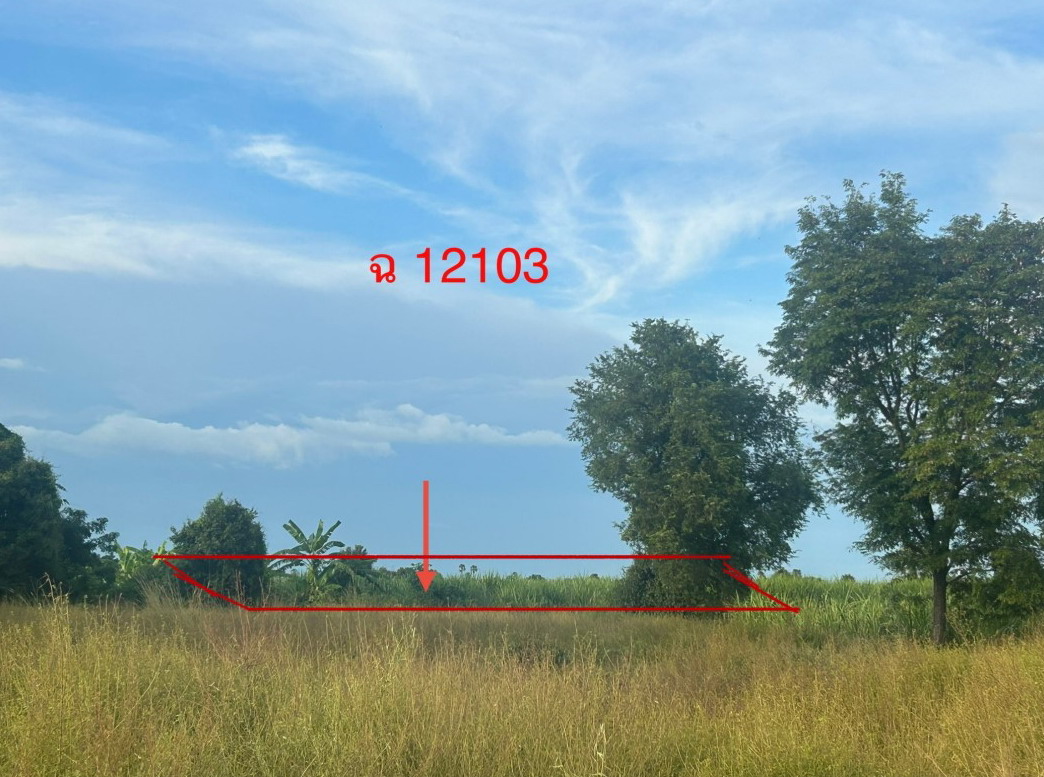 ขายทอดตลาด ที่ดินว่างเปล่า ต.ลานกระบือ อ.ลานกระบือ จ.กำแพงเพชร