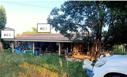 ขายทอดตลาด ที่ดินพร้อมสิ่งปลูกสร้าง ต.ท้อแท้ อ.วัดโบสถ์ จ.พิษณุโลก