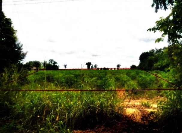 ขายทอดตลาด ที่ดินว่างเปล่า ต.วังหามแห อ.ขาณุวรลักษบุรี จ.กำแพงเพชร