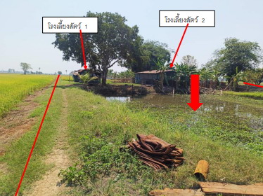 ขายทอดตลาด ที่ดินพร้อมสิ่งปลูกสร้าง ต.วังวน อ.พรหมพิราม จ.พิษณุโลก