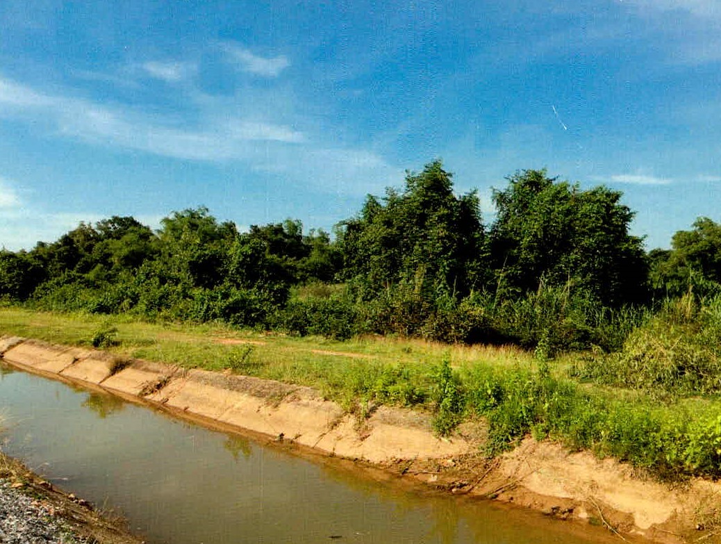 ขายทอดตลาด ที่ดินว่างเปล่า ต.ปะกาฮะรัง อ.เมืองปัตตานี จ.ปัตตานี