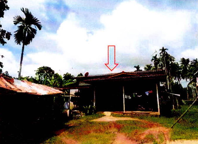 ขายทอดตลาด ที่ดินพร้อมสิ่งปลูกสร้าง ต.ปากู อ.ทุ่งยางแดง จ.ปัตตานี
