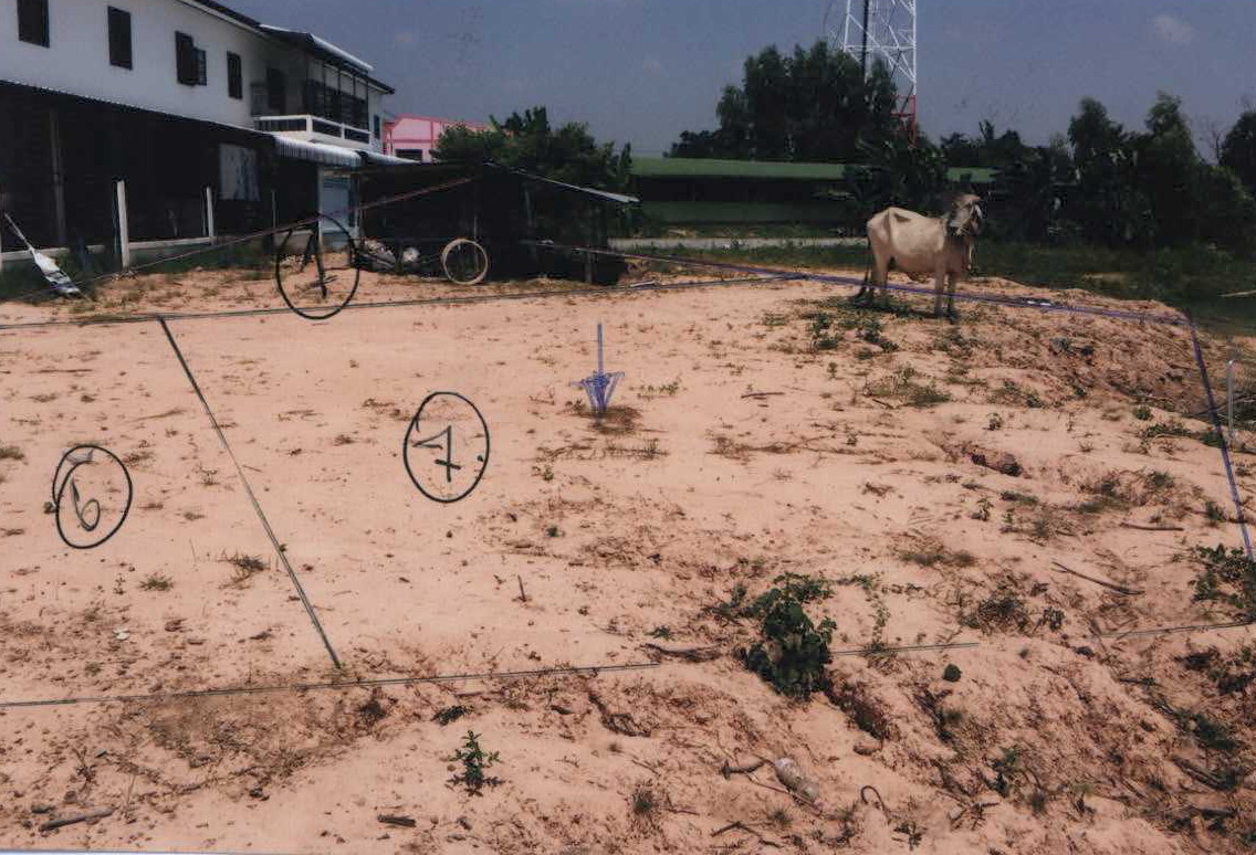 ขายทอดตลาด ที่ดินว่างเปล่า จ.มหาสารคาม