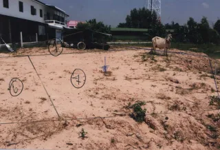 รูปทรัพย์ 1