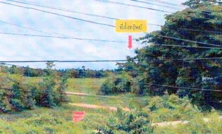 รูปทรัพย์ 2