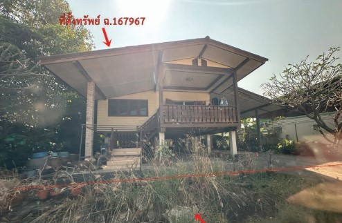 ขายทอดตลาด ที่ดินพร้อมสิ่งปลูกสร้าง ต.ท่าโพธิ์ อ.เมืองพิษณุโลก จ.พิษณุโลก