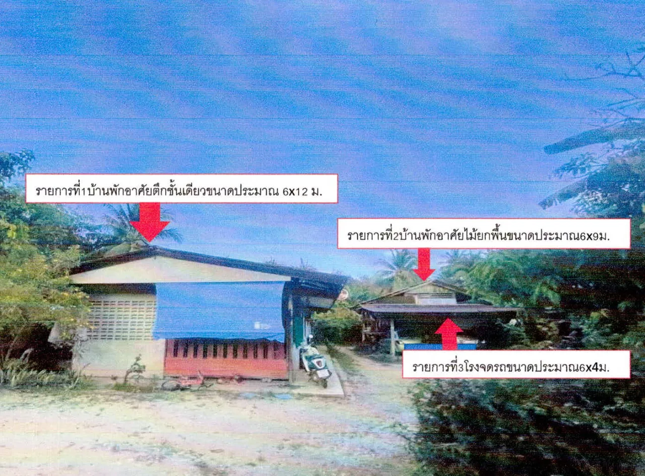 ขายทอดตลาด ที่ดินพร้อมสิ่งปลูกสร้าง ต.ควน อ.ปะนาเระ จ.ปัตตานี