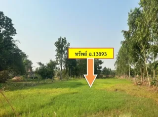 รูปทรัพย์ 1