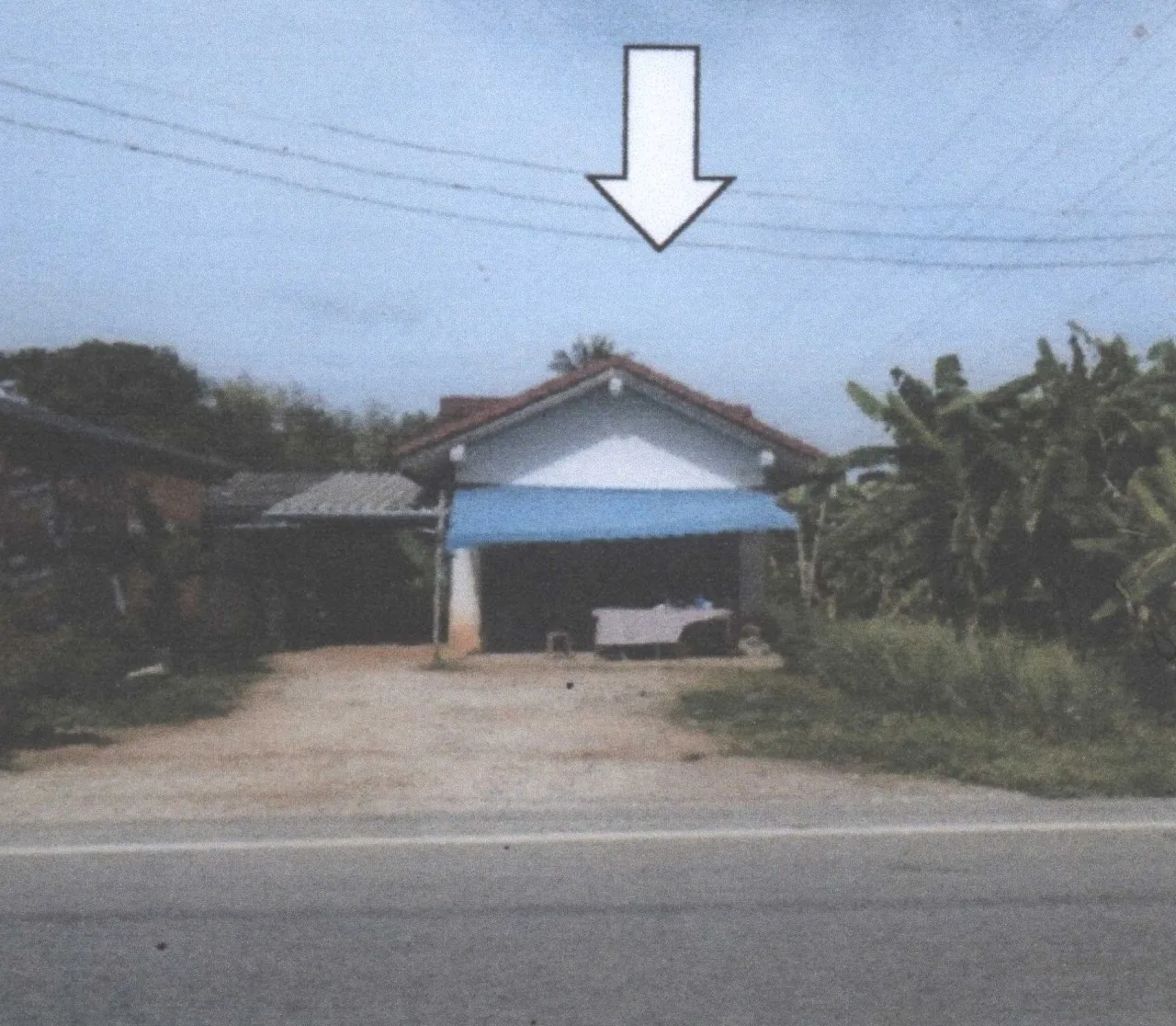 ขายทอดตลาด ที่ดินพร้อมสิ่งปลูกสร้าง ต.ป่าบอน อ.โคกโพธิ์ จ.ปัตตานี