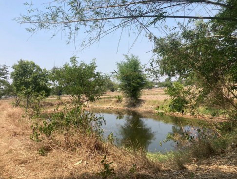 ขายทอดตลาด ที่ดินว่างเปล่า ต.แวงน่าง อ.เมืองมหาสารคาม จ.มหาสารคาม