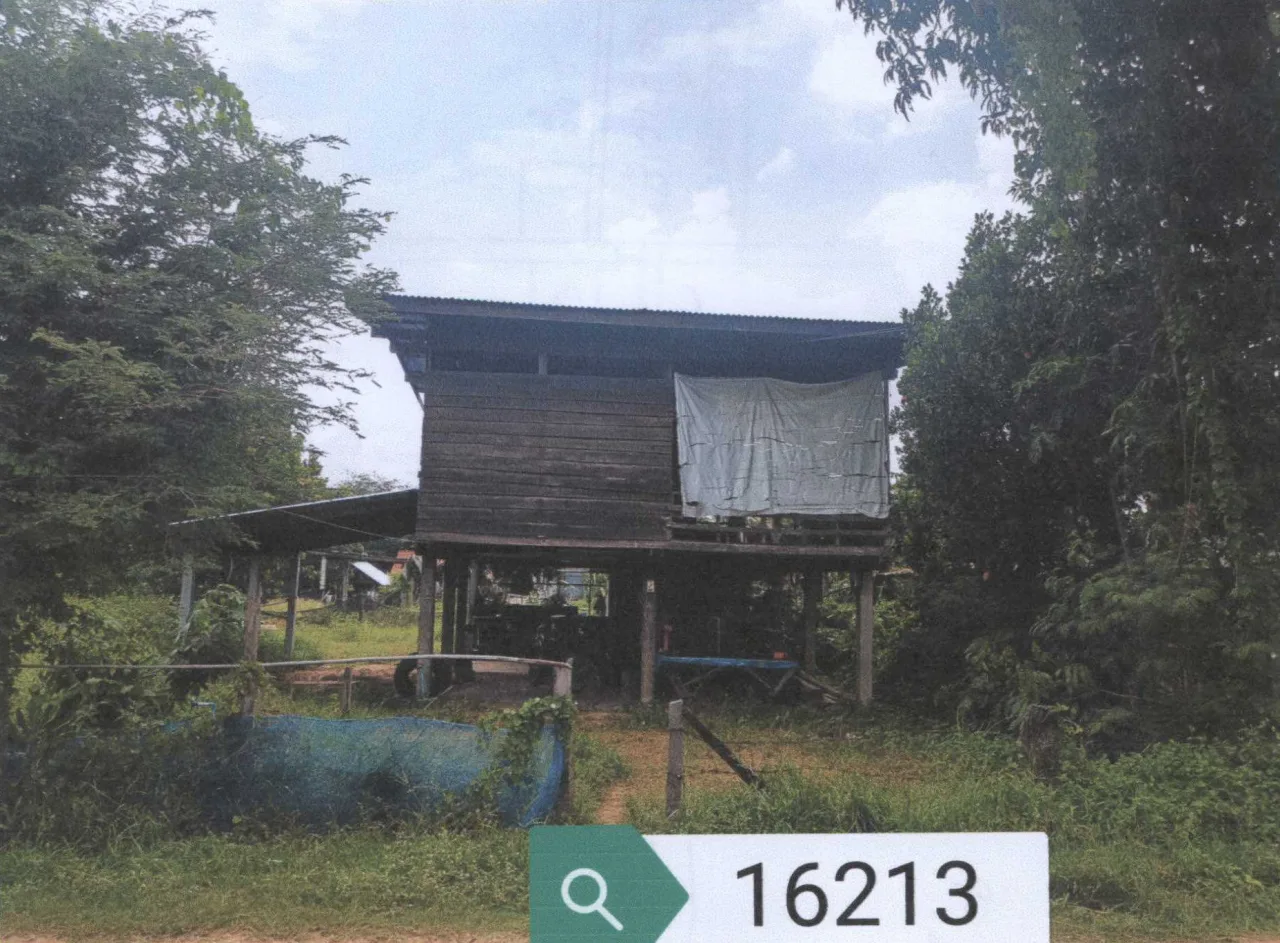 ขายทอดตลาด ที่ดินพร้อมสิ่งปลูกสร้าง ต.นาโพธิ์ อ.กุดรัง จ.มหาสารคาม