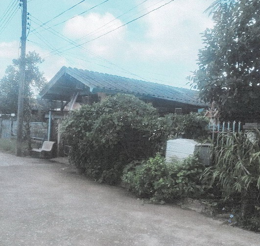 ขายทอดตลาด ที่ดินพร้อมสิ่งปลูกสร้าง ต.ตุยง อ.หนองจิก จ.ปัตตานี