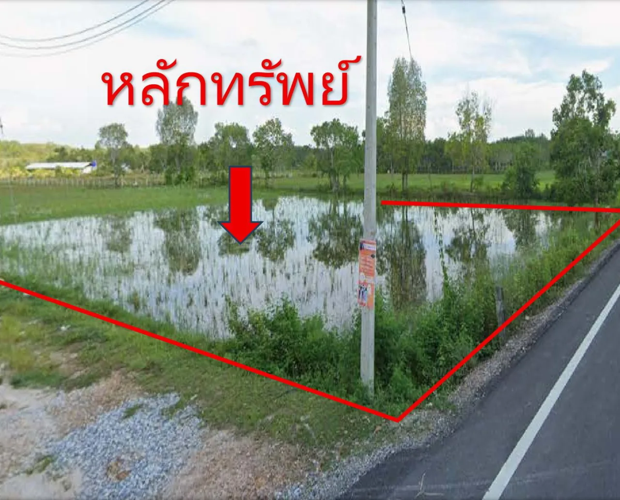 ขายทอดตลาด ที่ดินว่างเปล่า ต.ป่าไร่ อ.แม่ลาน จ.ปัตตานี