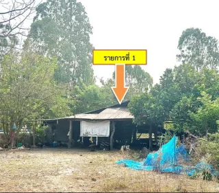 รูปทรัพย์ 1