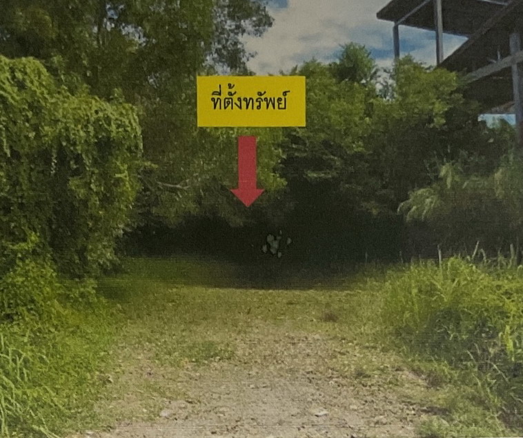 ขายทอดตลาด ที่ดินว่างเปล่า ต.โคกโพธิ์ อ.โคกโพธิ์ จ.ปัตตานี