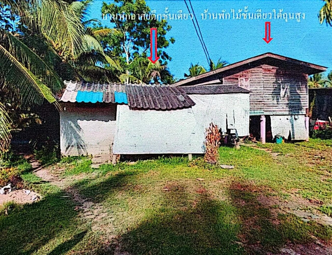 ขายทอดตลาด ที่ดินพร้อมสิ่งปลูกสร้าง ต.ดอนรัก อ.หนองจิก จ.ปัตตานี