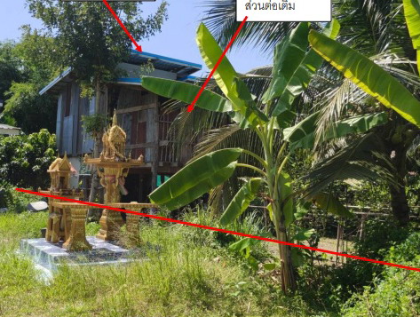 ขายทอดตลาด ที่ดินพร้อมสิ่งปลูกสร้าง ต.ดงประคำ อ.พรหมพิราม จ.พิษณุโลก