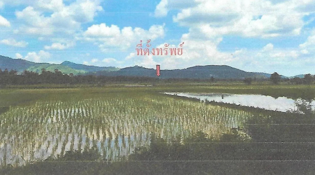 ขายทอดตลาด ที่ดินว่างเปล่า ต.สะกำ อ.มายอ จ.ปัตตานี