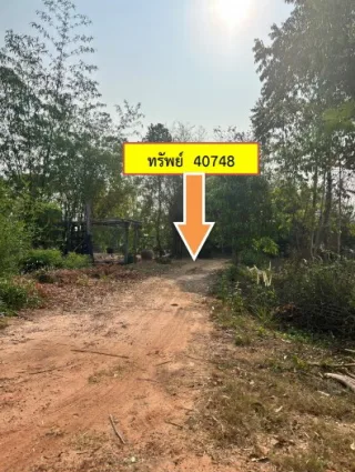 รูปทรัพย์ 3