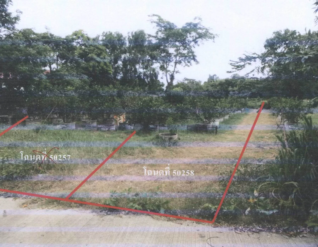 ขายทอดตลาด ที่ดินว่างเปล่า ต.ขามเรียง อ.กันทรวิชัย จ.มหาสารคาม