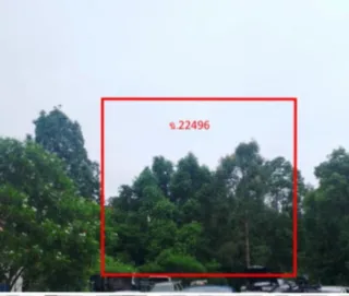 รูปทรัพย์ 2