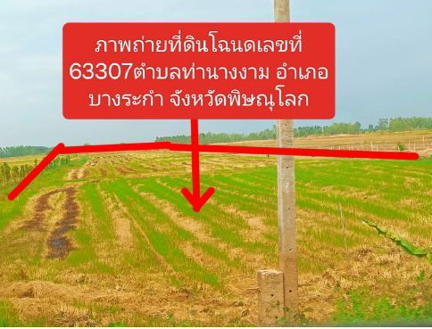 ขายทอดตลาด ที่ดินว่างเปล่า ต.ท่านางงาม อ.บางระกำ จ.พิษณุโลก