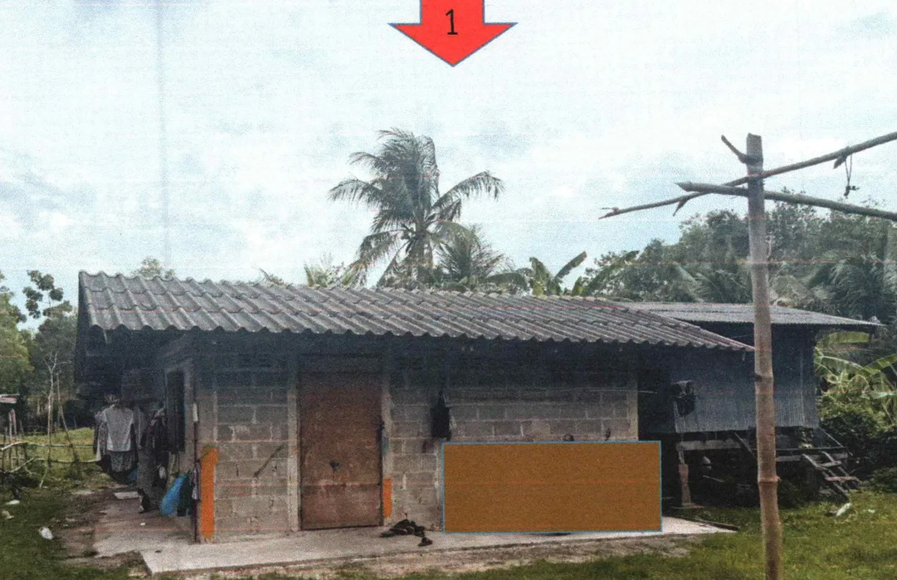 ขายทอดตลาด ที่ดินพร้อมสิ่งปลูกสร้าง ต.บางโกระ อ.โคกโพธิ์ จ.ปัตตานี