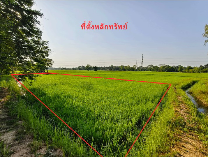 ขายทอดตลาด ที่ดินว่างเปล่า ต.ยางตลาด อ.ยางตลาด จ.กาฬสินธุ์