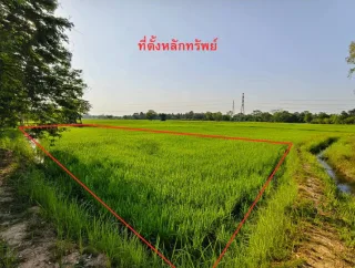 รูปทรัพย์ 1