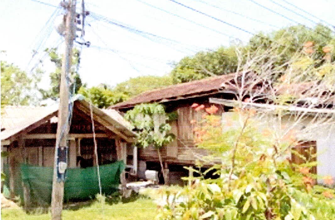 ขายทอดตลาด ที่ดินพร้อมสิ่งปลูกสร้าง ต.ปุยุด อ.เมืองปัตตานี จ.ปัตตานี