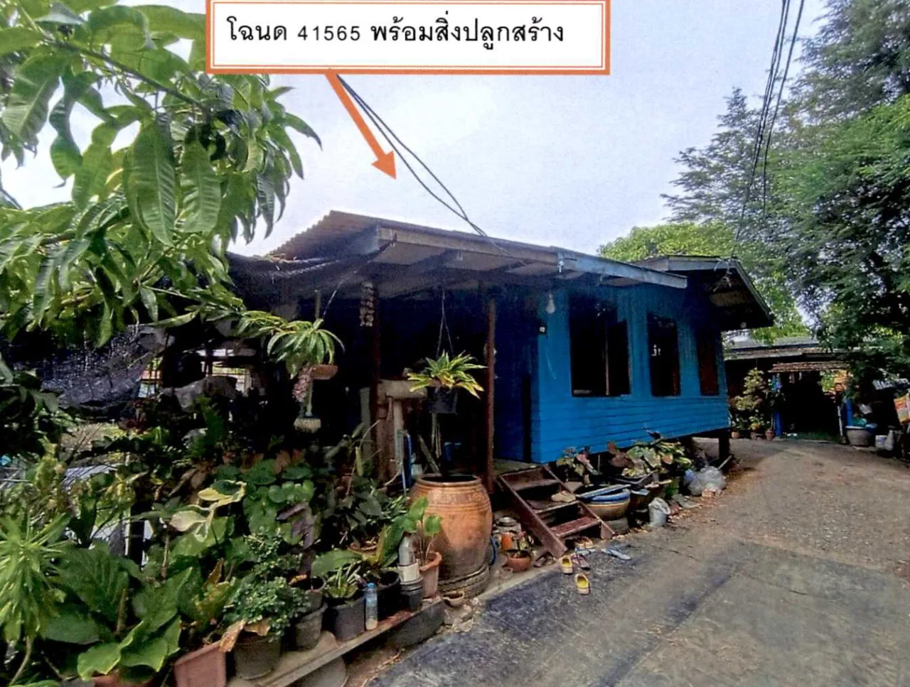 ขายทอดตลาด ที่ดินพร้อมสิ่งปลูกสร้าง ต.บ้านหว้า อ.บางปะอิน จ.พระนครศรีอยุธยา