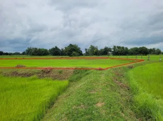 รูปทรัพย์ 1