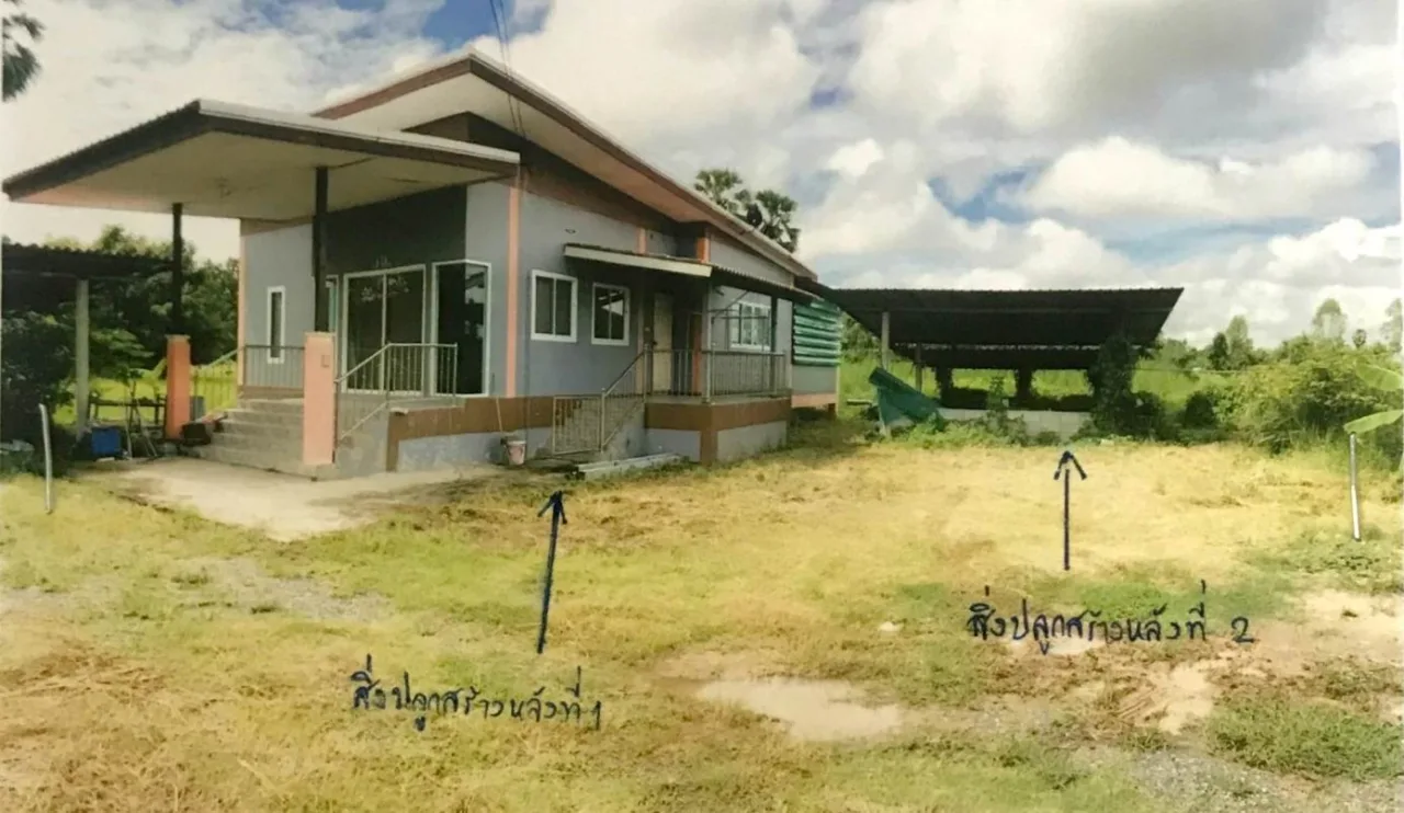 ขายทอดตลาด ที่ดินพร้อมสิ่งปลูกสร้าง ต.ท้อแท้ อ.วัดโบสถ์ จ.พิษณุโลก