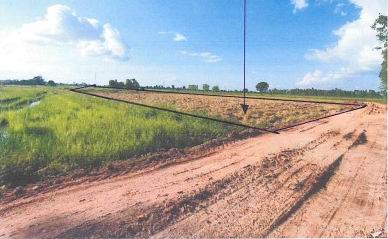 ขายทอดตลาด ที่ดินว่างเปล่า ต.ดอนทอง อ.เมืองพิษณุโลก จ.พิษณุโลก