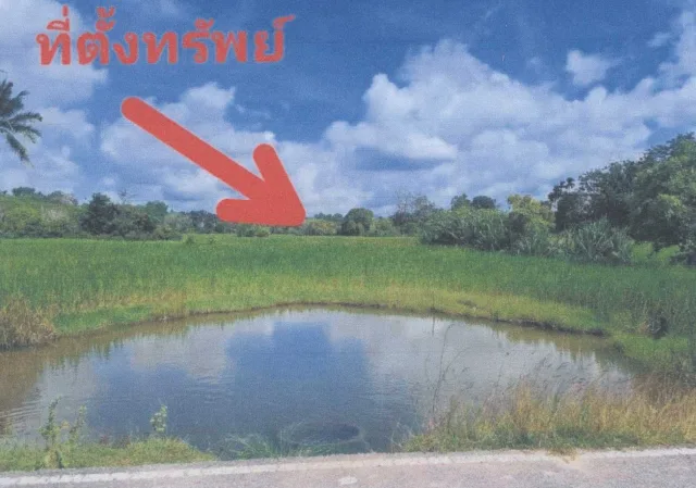 ขายทอดตลาด ที่ดินว่างเปล่า จ.เลย