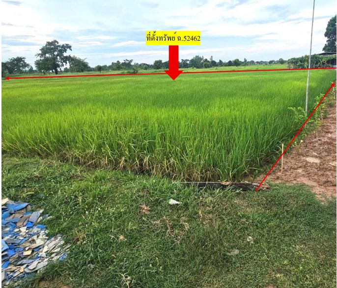 ขายทอดตลาด ที่ดินว่างเปล่า ต.เขวา อ.เมืองมหาสารคาม จ.มหาสารคาม