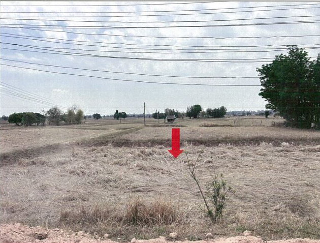 ขายทอดตลาด ที่ดินว่างเปล่า ต.หนองคูขาด อ.บรบือ จ.มหาสารคาม