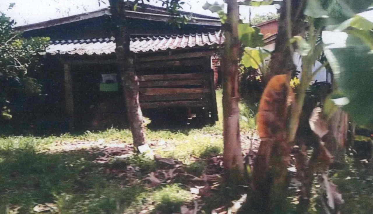 ขายทอดตลาด ที่ดินพร้อมสิ่งปลูกสร้าง ต.ยะรัง อ.ยะรัง จ.ปัตตานี