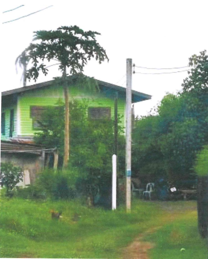 ขายทอดตลาด ที่ดินพร้อมสิ่งปลูกสร้าง ต.วังโพรง อ.เนินมะปราง จ.พิษณุโลก