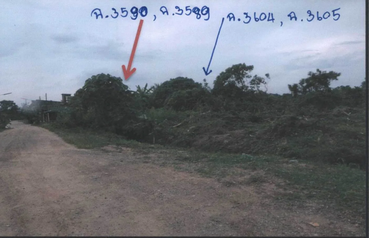 ขายทอดตลาด ที่ดินว่างเปล่า ต.คีรีวง อ.ปลายพระยา จ.กระบี่