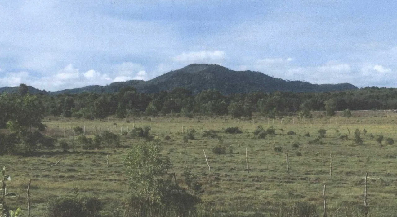 ขายทอดตลาด ที่ดินว่างเปล่า ต.ทะนง อ.โพทะเล จ.พิจิตร