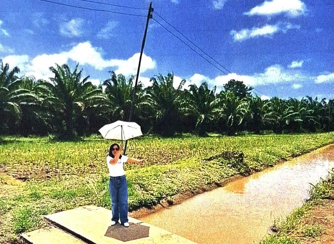ขายทอดตลาด ที่ดินว่างเปล่า ต.ศรีภิรมย์ อ.พรหมพิราม จ.พิษณุโลก