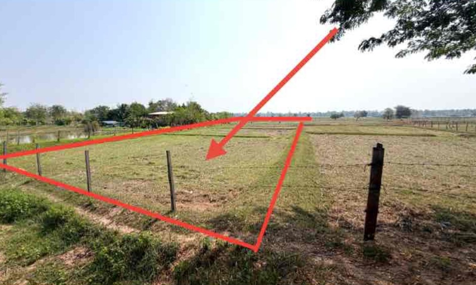 ขายทอดตลาด ที่ดินว่างเปล่า จ.มหาสารคาม