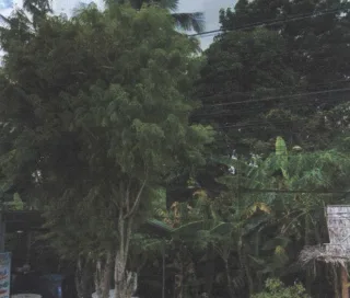 รูปทรัพย์ 1