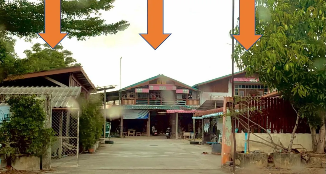 ขายทอดตลาด ที่ดินพร้อมสิ่งปลูกสร้าง ต.ท่าเรือ อ.โคกโพธิ์ จ.ปัตตานี