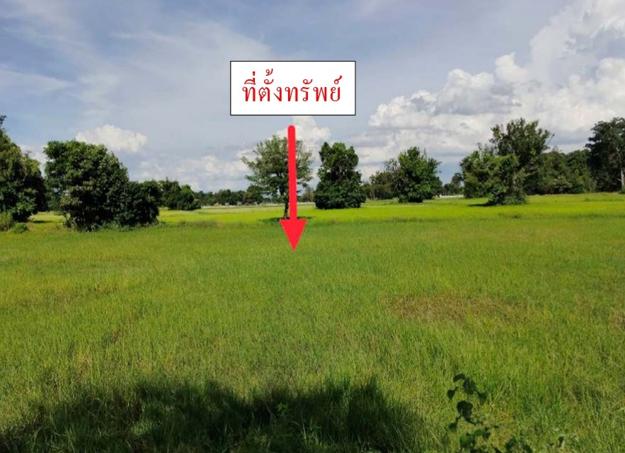 ขายทอดตลาด ที่ดินว่างเปล่า จ.มหาสารคาม